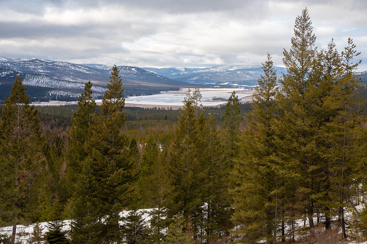 Company that bought Weyerhaeuser lands assures it will stay in block