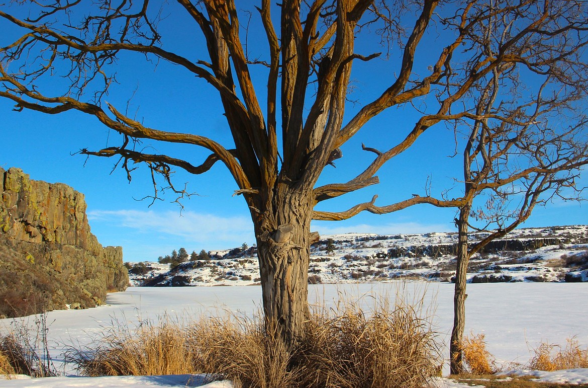 Timothy Connor’s “Beautiful Wounds” exhibit will show the desolate beauty of the Eastern Washington scablands, opening March 6.