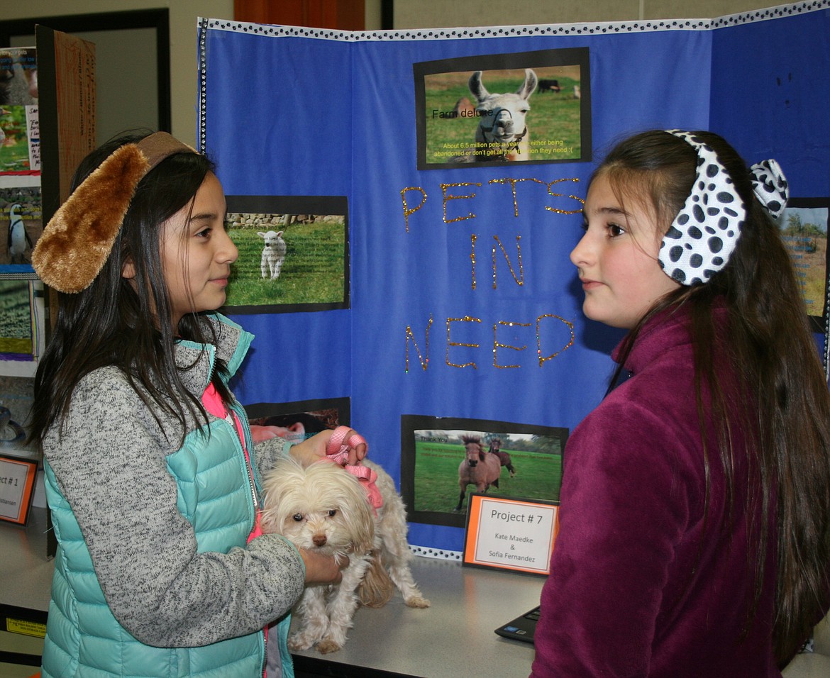 Sofia Fernandez (left) and Kate Maedke used Sofia’s dog Pixie to draw attention to their proposal for a long-term animal shelter. Sofia and Kate detailed their idea to an audience at a presentation sponsored by Parkway School’s highly capable program.