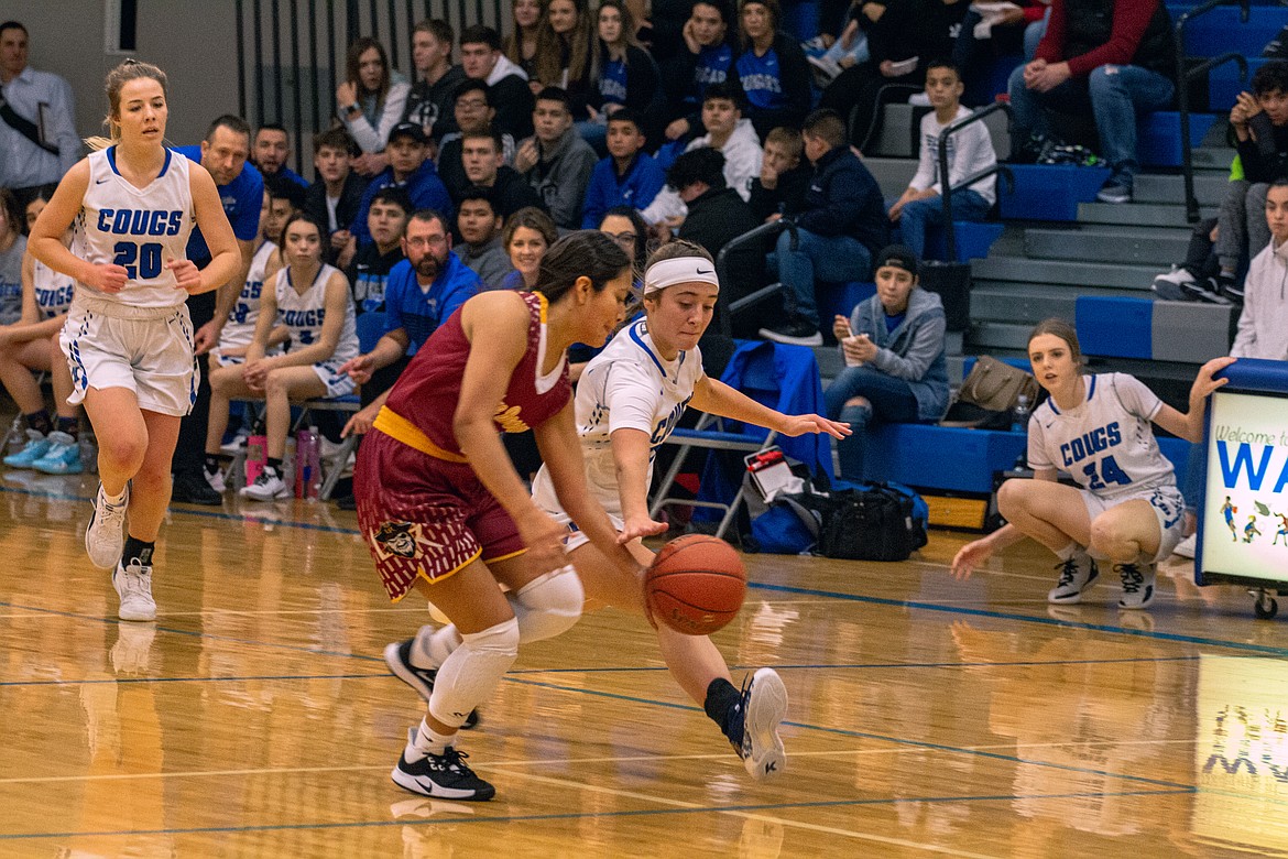 Casey McCarthy/Columbia Basin Herald Freshman Quinn Erdmann pokes the ball away near midcourt earlier this season. The Cougars have been a defensive force all season, fueling their offense by creating turnovers with constant pressure.