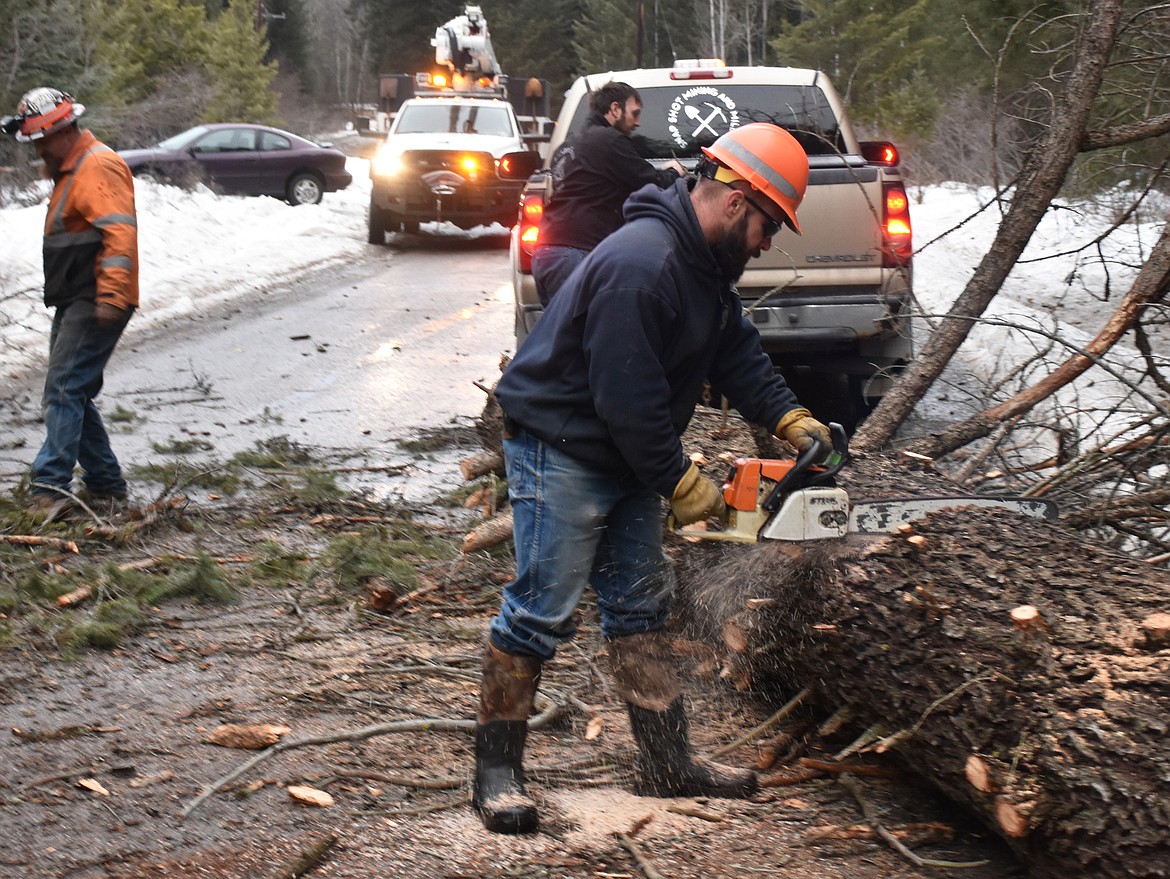 High winds toppled trees around Lincoln County on Feb. 1. On Granite Creek Road, residents worked with a lineman from Flathead Electric Co-op to clear a tree that had snapped power lines and broken a cross arm when it came down. (Duncan Adams/The Western News)