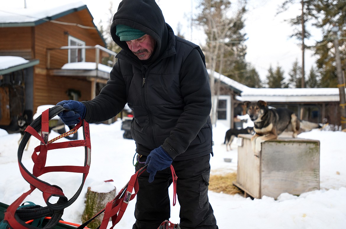 Butch Parr and his dogs have been hard at work training for the upcoming Flathead Classic sled dog race near Olney.