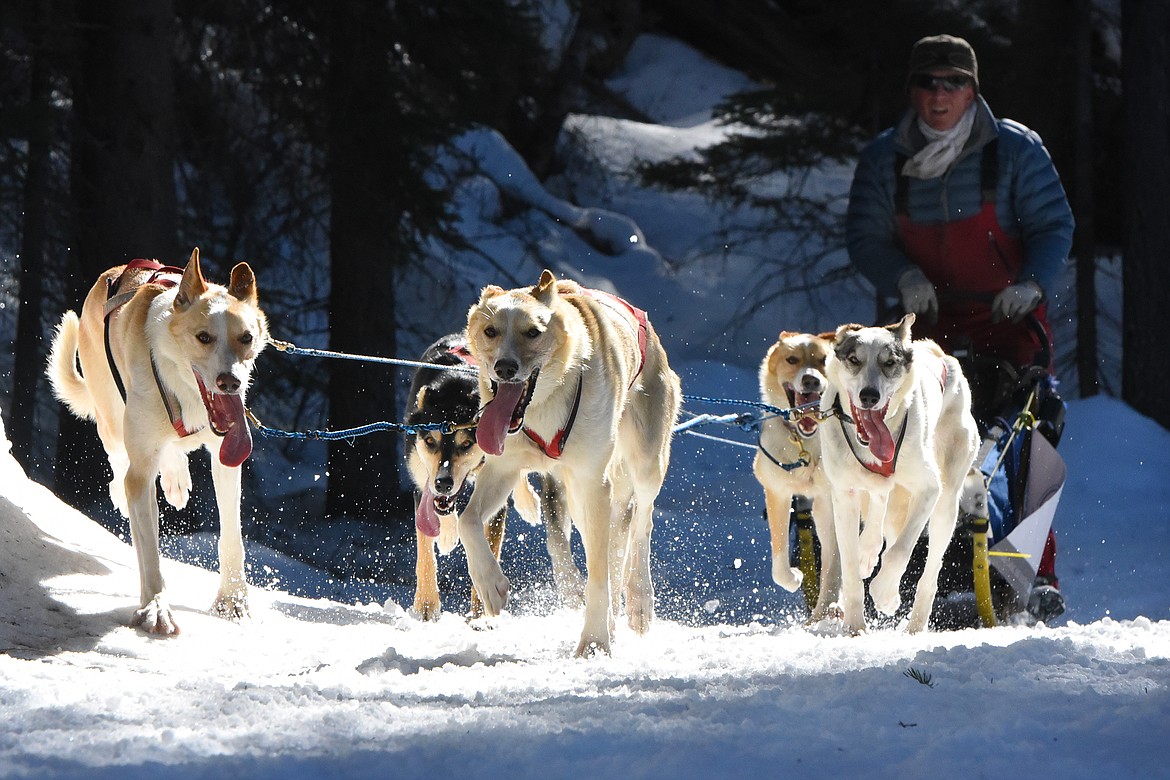 Musher Clayton Perry and his six-dog team enter the final half mile of the Flathead Classic in Olney Saturday. (Jeremy Weber/Daily Inter Lake)