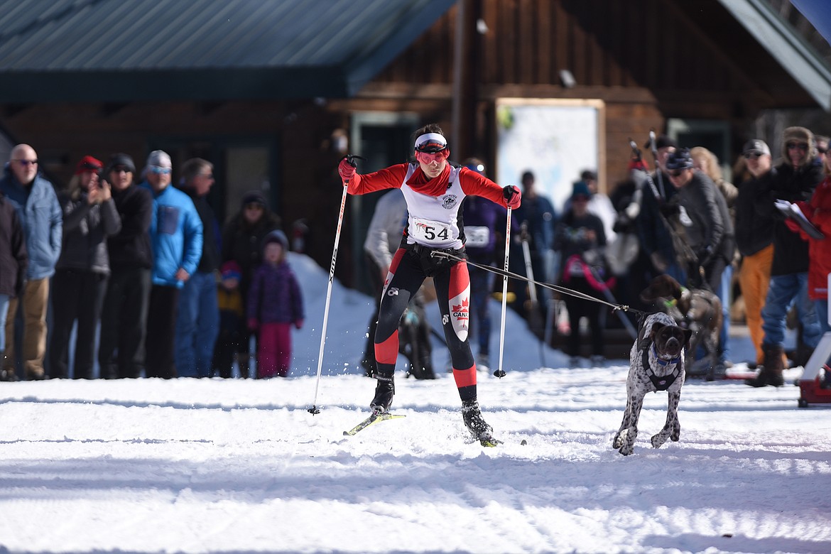 Katherine Spencer leaves the starting area near the Dog Creek Lodge during the one-dog skijoring portion of the Flathead Classic in Olney Saturday. (Jeremy Weber/Daily Inter Lake)