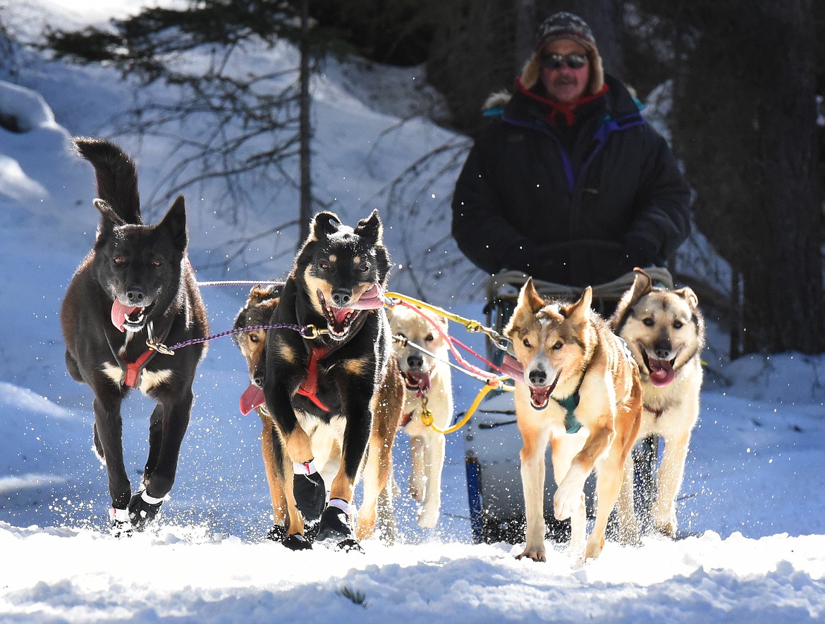Musher Butch Parr and his six-dog team near the finish line of the Flathead Classic in Olney Saturday.
(Jeremy Weber/Daily Inter Lake)