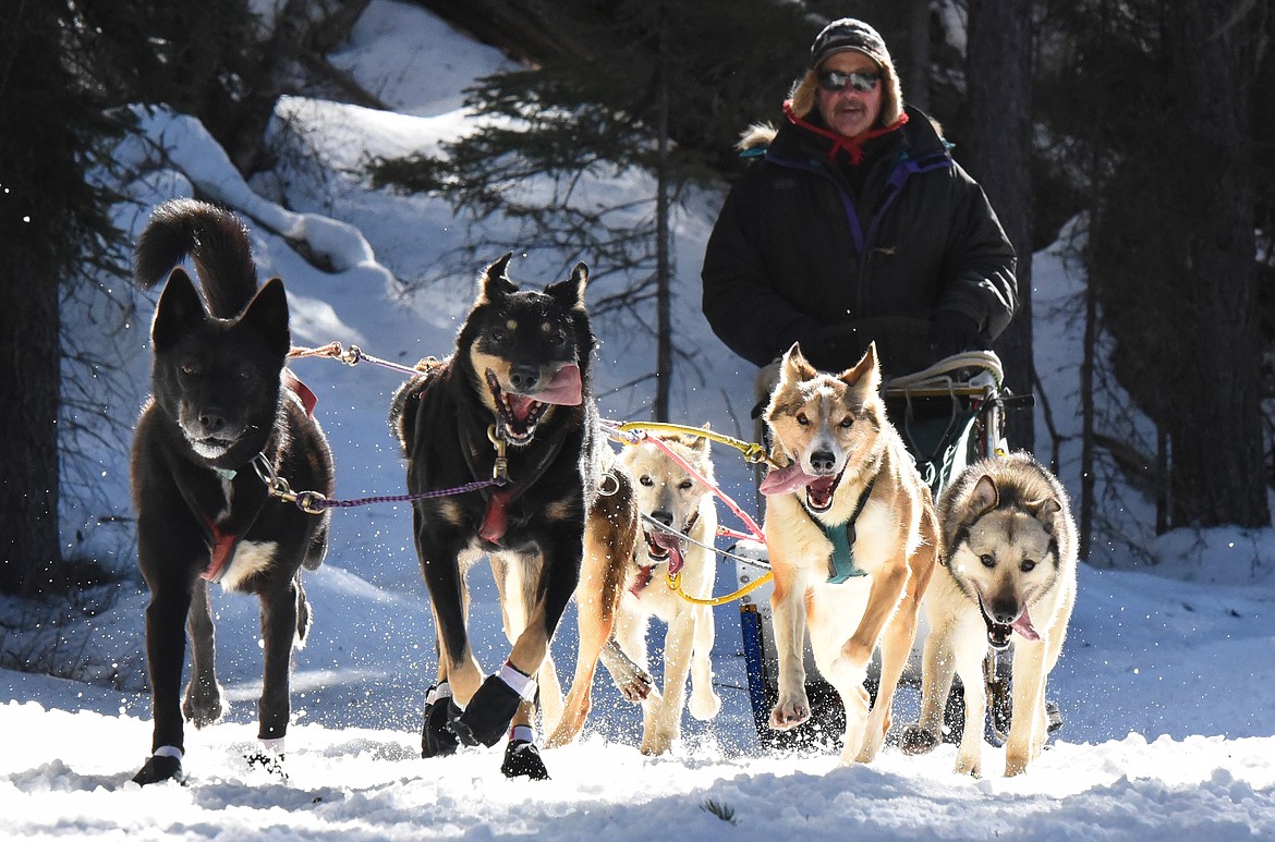 Musher Butch Parr and his six-dog team near the finish line of the Flathead Classic in Olney Saturday. (Jeremy Weber/Daily Inter Lake)