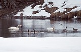 A warm, wet winter