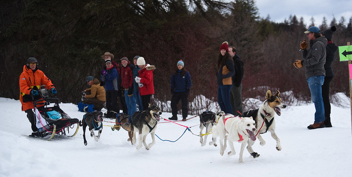 A six-dog team races by the crowd at the Flathead Classic Sled Dog Race in Olney last weekend. (Daniel McKay/Whitefish Pilot)