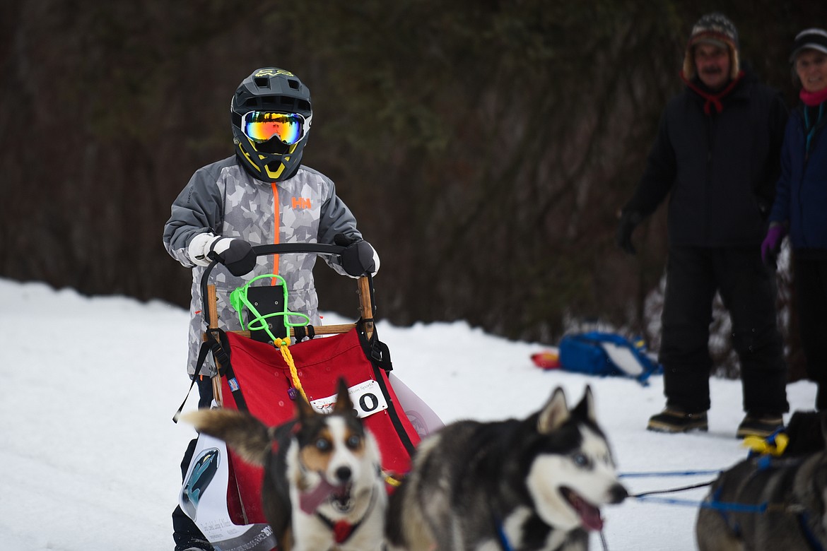 Harleigh Dutton wraps up the four-dog junior race at the Flathead Classic Sled Dog Race in Olney last weekend. (Daniel McKay/Whitefish Pilot)