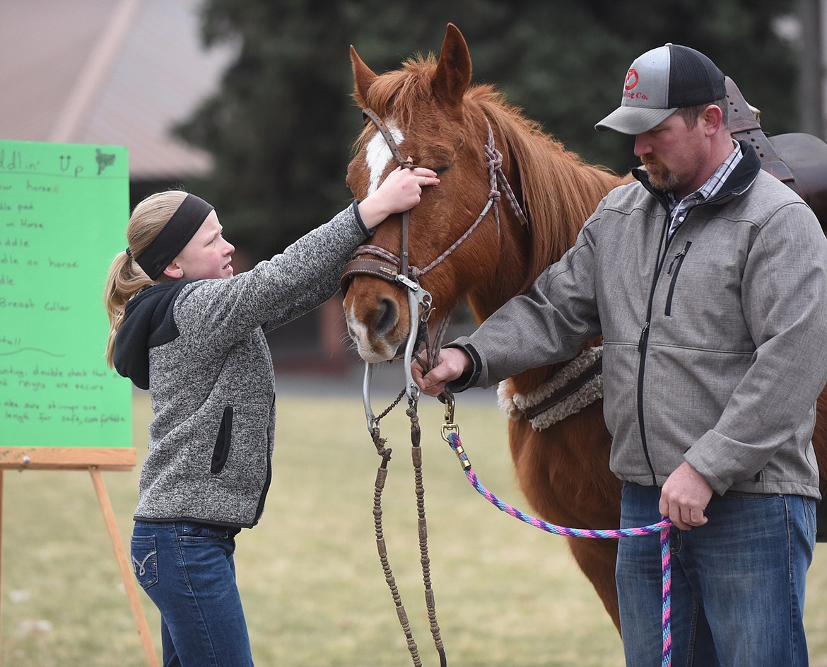 Addyson Deal, 11, of Thompson Falls, with a hand from her dad, Jay, shows how to place a headstall on her horse during last Saturday’s Sanders County 4-H Communication Day event at Thompson Falls Elementary School. (Scott Shindledecker/Valley Press)