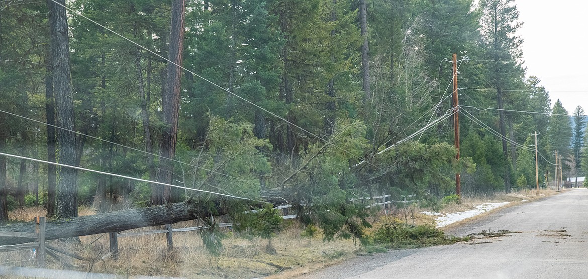 A downed power line is pictured on Montana 83 last Saturday, following a wind storm that left thousands without power.
Courtesy Kristy Pancoast