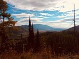 Forest OKs Crystal Cedars Project