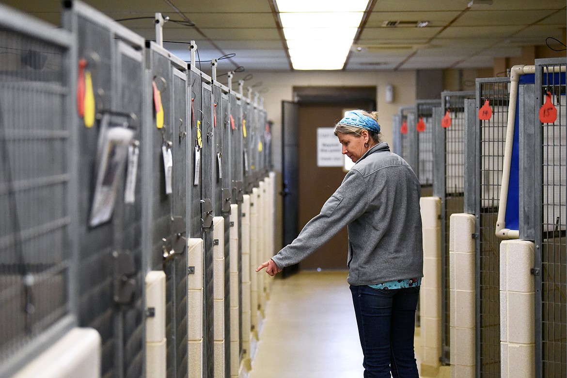 Danielle Zanni playfully extends a finger towards Boone, an adoptable mixed-breed dog, as she walks through the kennels at the Flathead County Animal Shelter on Wednesday, March 25. (Casey Kreider/Daily Inter Lake)