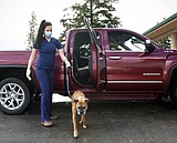 Animal clinics remain open for pet emergencies