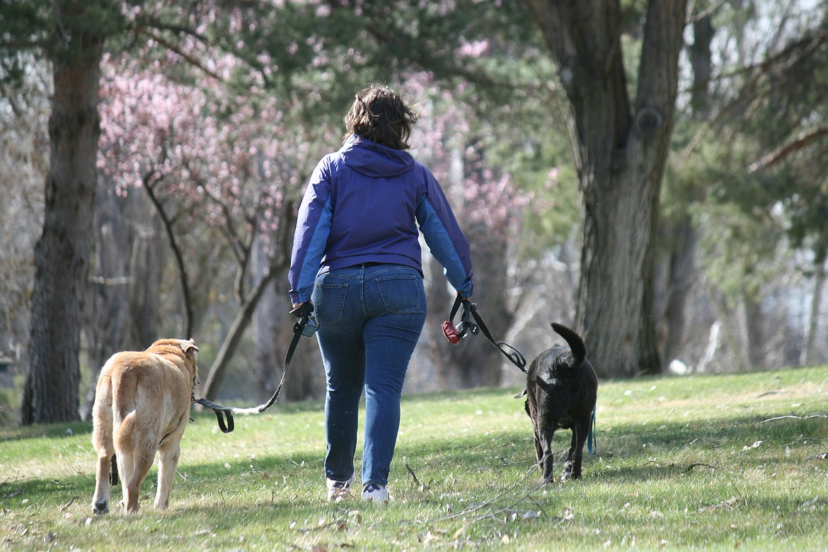 Cheryl Schweizer/Columbia Basin Herald 
  
 A woman walks her dogs in Blue Heron Park Thursday afternoon. The current restrictions on movement and commerce have generated a variety of reactions from local residents.