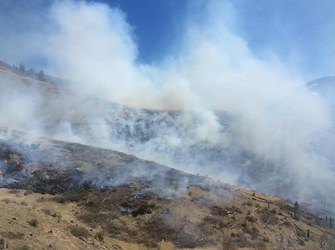 Firefighters get Plains wildfire under control | Daily Inter Lake