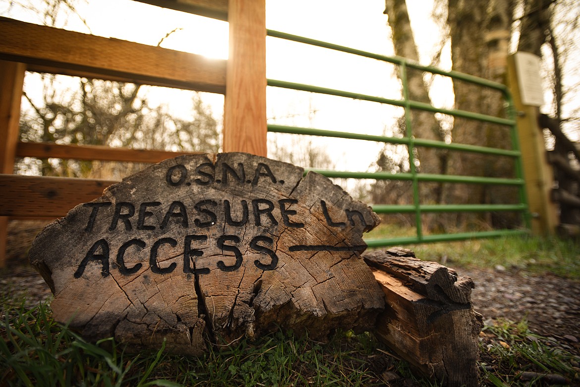 Lettering on a stump marks an entrance point off Treasure Lane at Owen Sowerwine Natural Area in Kalispell on Friday, April 24. (Casey Kreider/Daily Inter Lake)