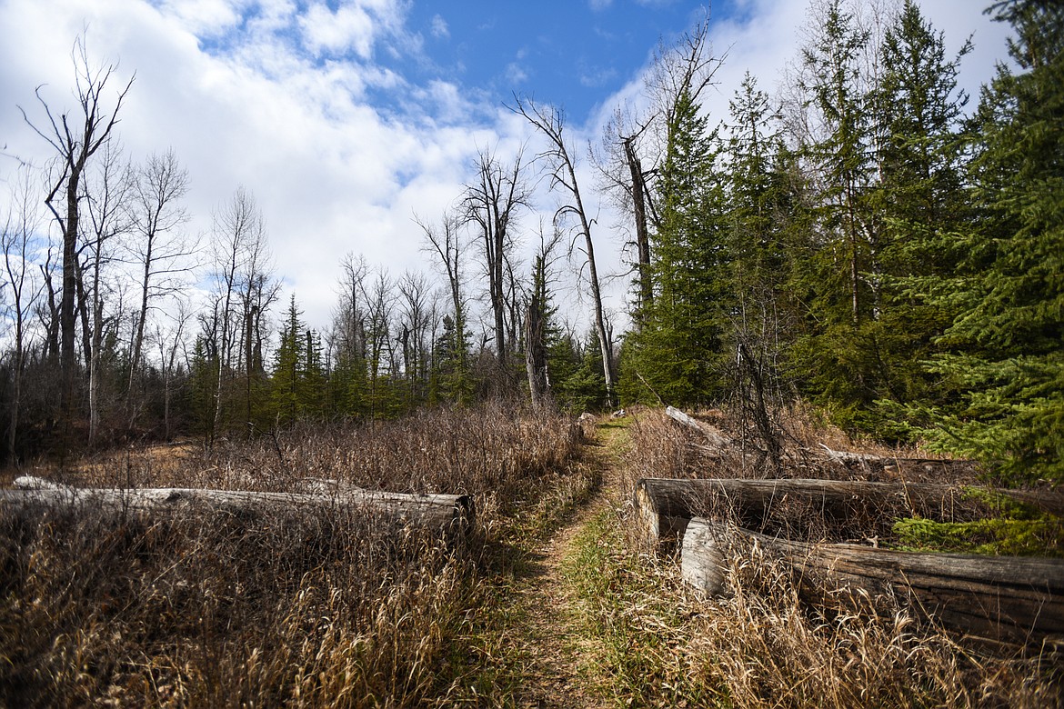 The Bypass Trail is shown as it branches off from the Main Trail near the Treasure Lane access at Owen Sowerwine Natural Area in Kalispell on Friday, April 24. (Casey Kreider/Daily Inter Lake)