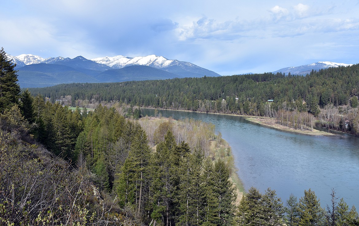 The Kootenai River, just upstream of Libby. Researchers have found evidence of selenium pollution in the river downstream of the Libby Dam from coal mines in British Columbia. (Duncan Adams/The Western News)