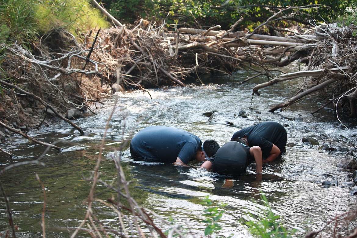 Courtesy photo 
 From left to right, Osvaldo Alvarez, Fernando Pazaran and Cristopher Galvan use snorkels to locate aquatic life near stream wood.