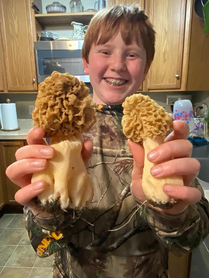 Ten-year-old Truman Traeder, of Superior, shows off the trophy morel mushrooms he found recently while hunting turkeys with his dad, Scot. (Photo submitted)