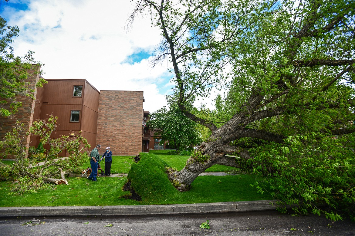 Neighbors assess damage from an early morning storm along Fourth Street West near Elrod Elementary in Kalispell on Sunday, May 31. (Casey Kreider/Daily Inter Lake)