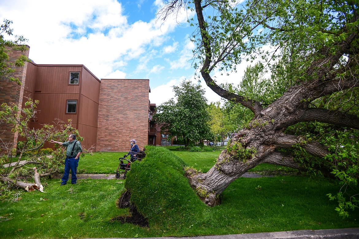 Fred DeLay, left, of Kalispell, assesses damage from an early morning storm along Fourth Street West near Elrod Elementary in Kalispell on Sunday, May 31. (Casey Kreider/Daily Inter Lake)