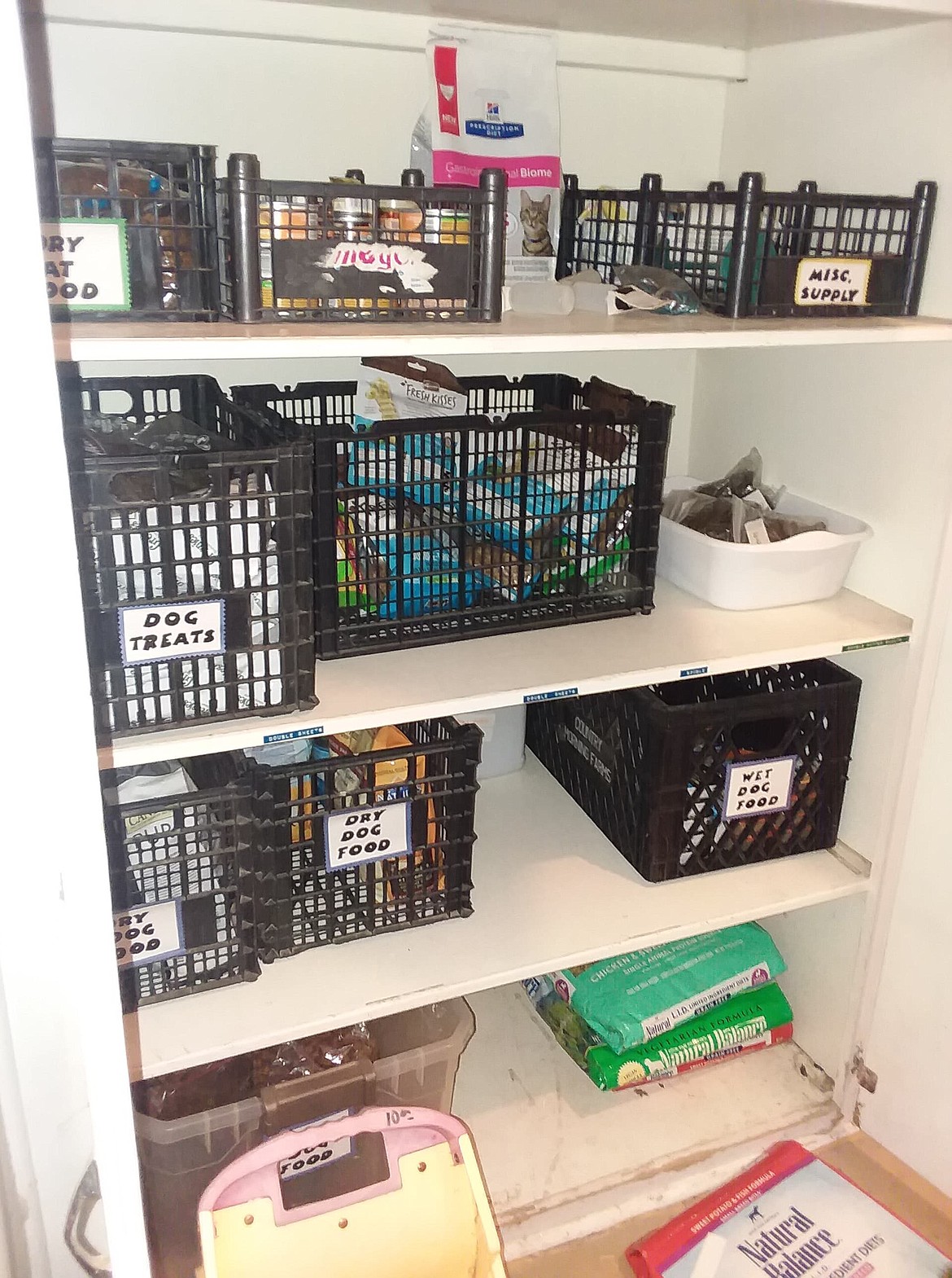Shawna Kluge’s pet pantry started out as a single purchase of pet food and has grown into a resource for pet owners in the community.