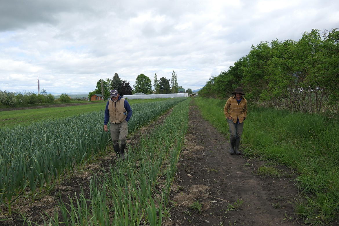 Julie Pavlock and her father, Tom, bring a sense of calm happiness to the daily farm labor.