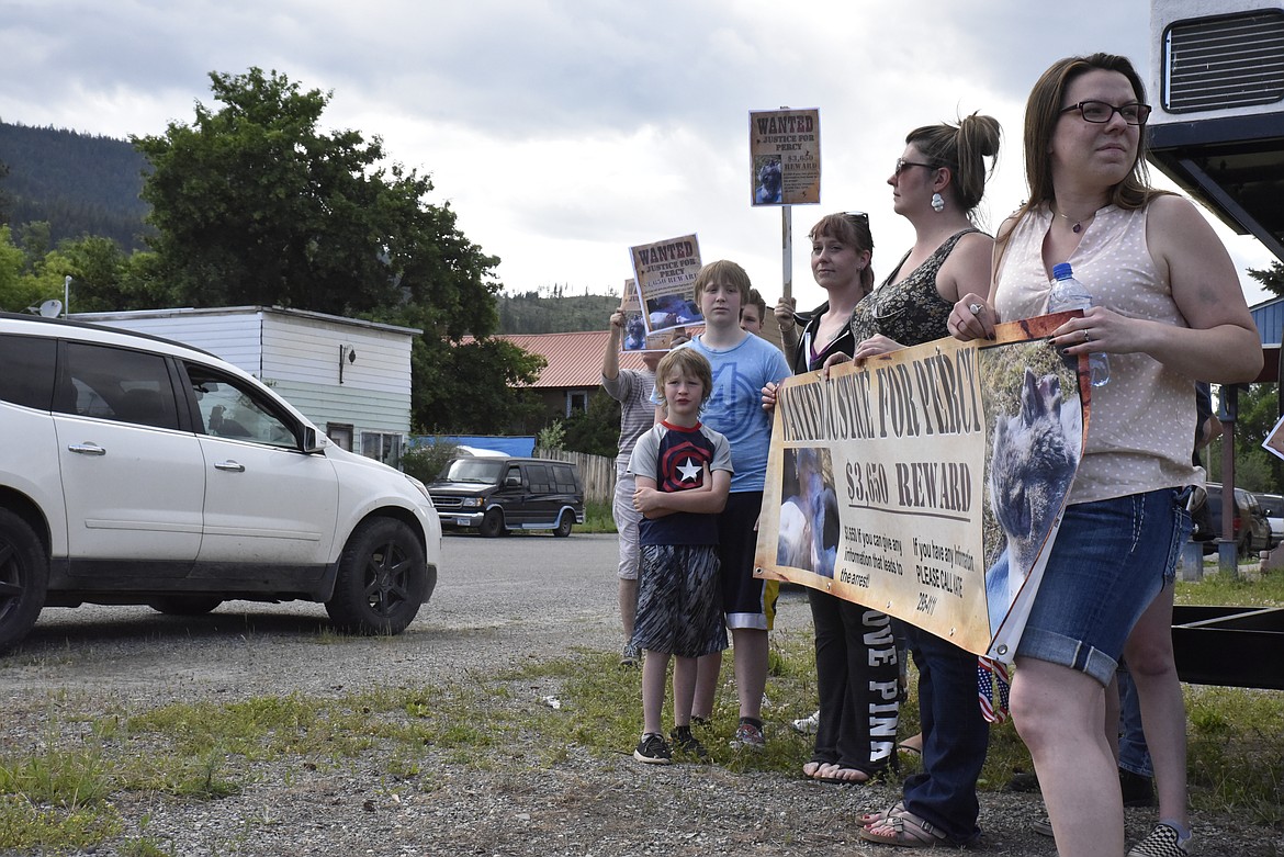 Marchers gather in Troy on June 4 to raise awareness for the ongoing investigation surrounding the abuse of an Alaskan malamute earlier this year. Donors have raised $3,650 for information leading to an arrest. (Derrick Perkins/The Western News)