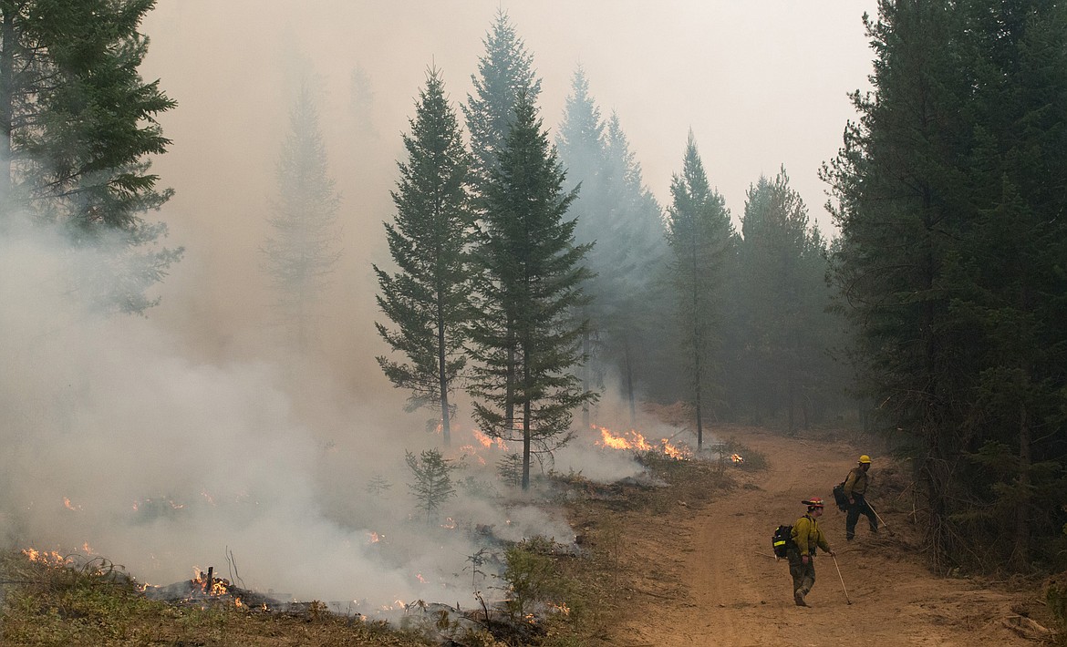 A member of the Mesa Hotshots, left, and a member of a Type 2 Hand Crew from Pennsylvania work a controlled burn on the West Fork fire north of Libby on Friday, Sept. 8, 2017. They're looking into the forest to keep an eye out for spot fires. (John Blodgett/The Western News)