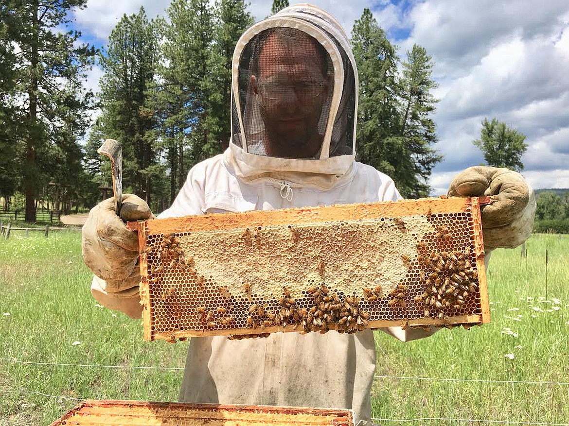 Hindu Hillbilly’s Justin Bay holds a frame of honey comb. (Hindu Hillbilly courtesy photo)