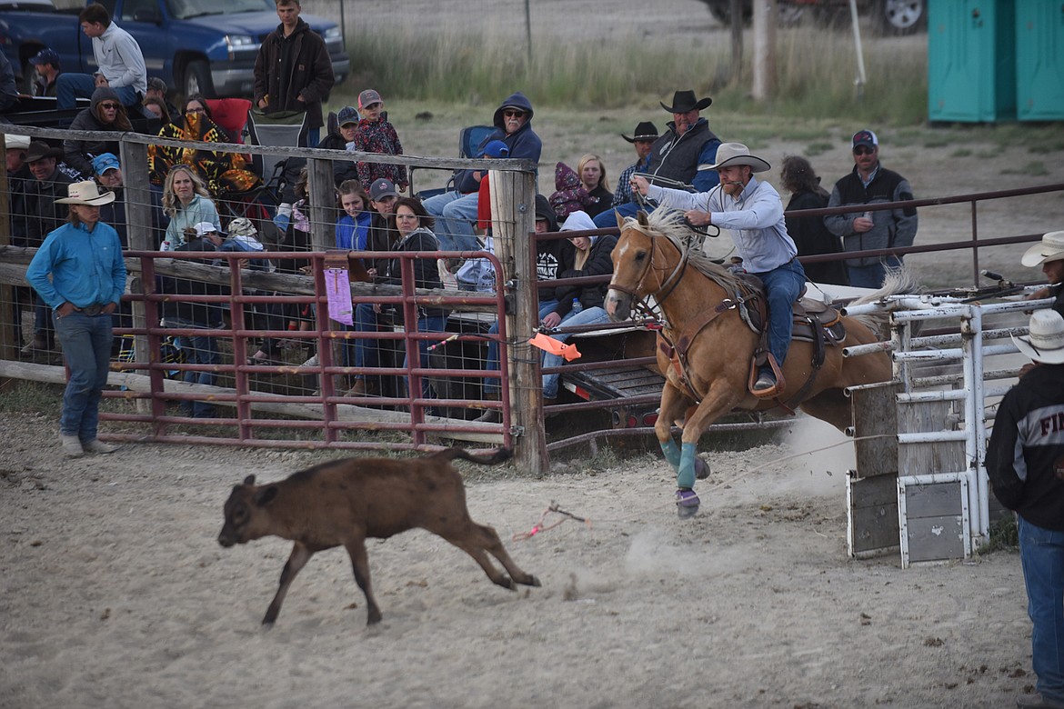 Morgan Seeman was quick out of the gate in the tiedown roping event at the Hot Springs Rodeo June 13. (Scott Shindledecker/Valley Press)