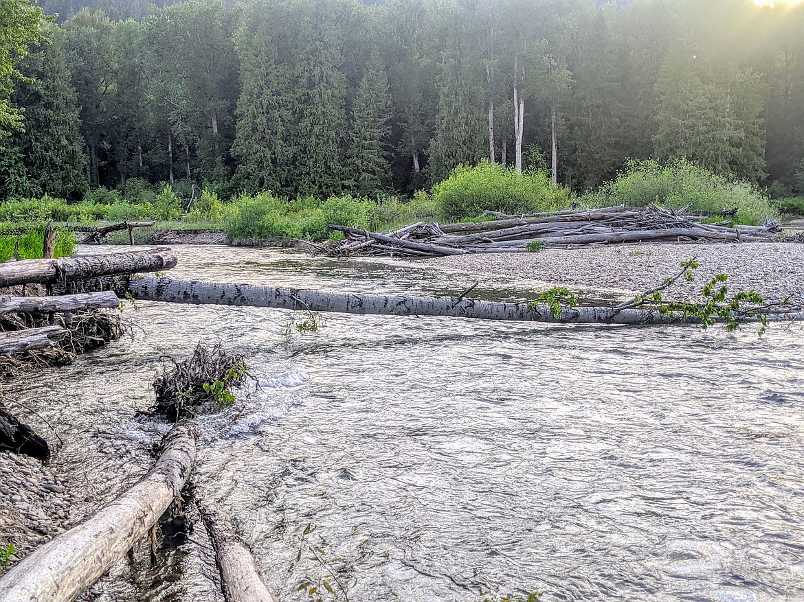 The felled tree, located roughly half a mile upstream from where the body was recovered, that blocked the fishermen’s way and caused their boat to capsize. The two fishermen attempted to pass through the small opening on the lower-left side.