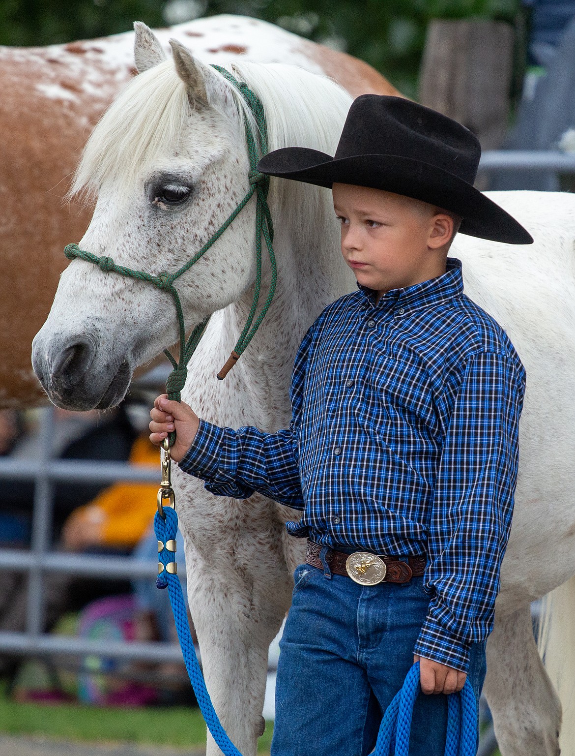 Casey McCarthy/Columbia Basin Herald
Owen Montgomery holds onto the reins of his horse as he waits for the judges’ decision on Saturday morning at the Buckle Series second event of the summer.