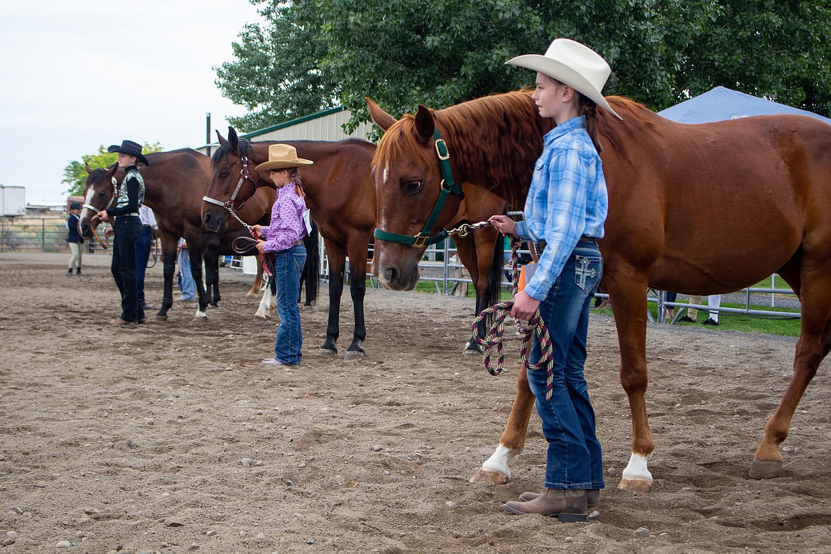 Buckle Series horse show offers welcome return for riders and families ...