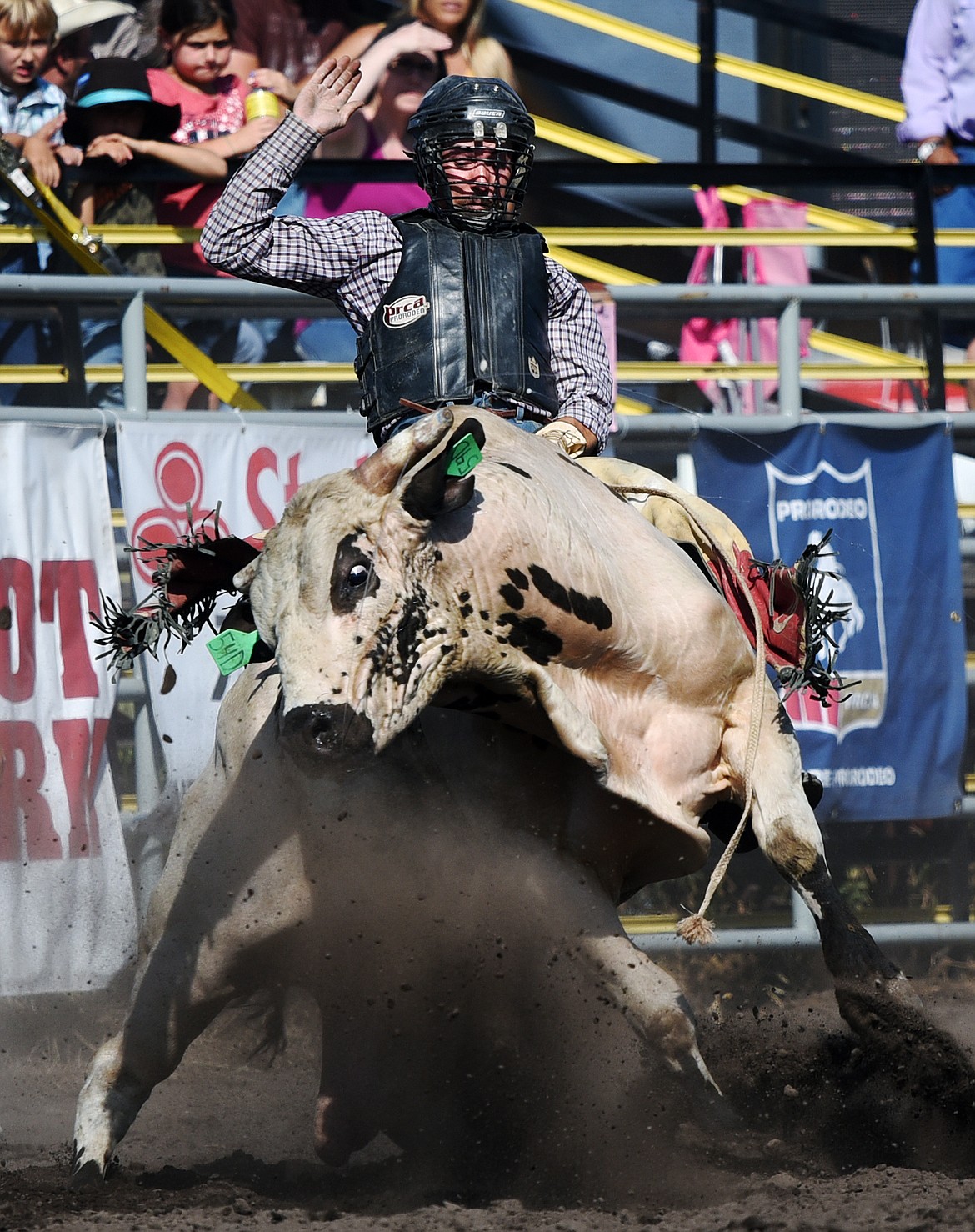 Gerald Eash, of Trego, holds on to his bull Q Ball during bull riding at the Bigfork Rodeo on Saturday, July 4. (Casey Kreider/Daily Inter Lake)