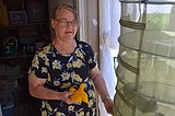 Ancient craft, modern hobby: Moses Lake woman spins and colors her own wool