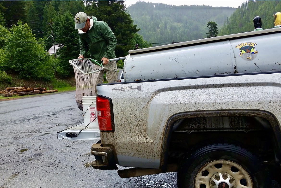 Photo by AVERY IDAHO, ST. JOE RIVER FACEBOOK PAGE/ The Idaho Department of Fish and Game provided 18 rainbow trout for the pond and the South Fork Trout Farm provided the other six.