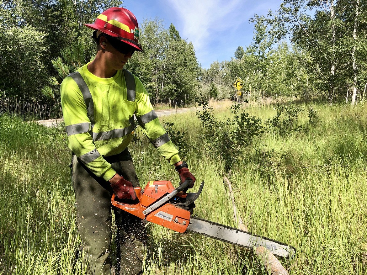 Tayler Bush uses a chainsaw to cut up a tree that his crew brought down.