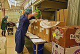 Collaboration provides produce to those in need