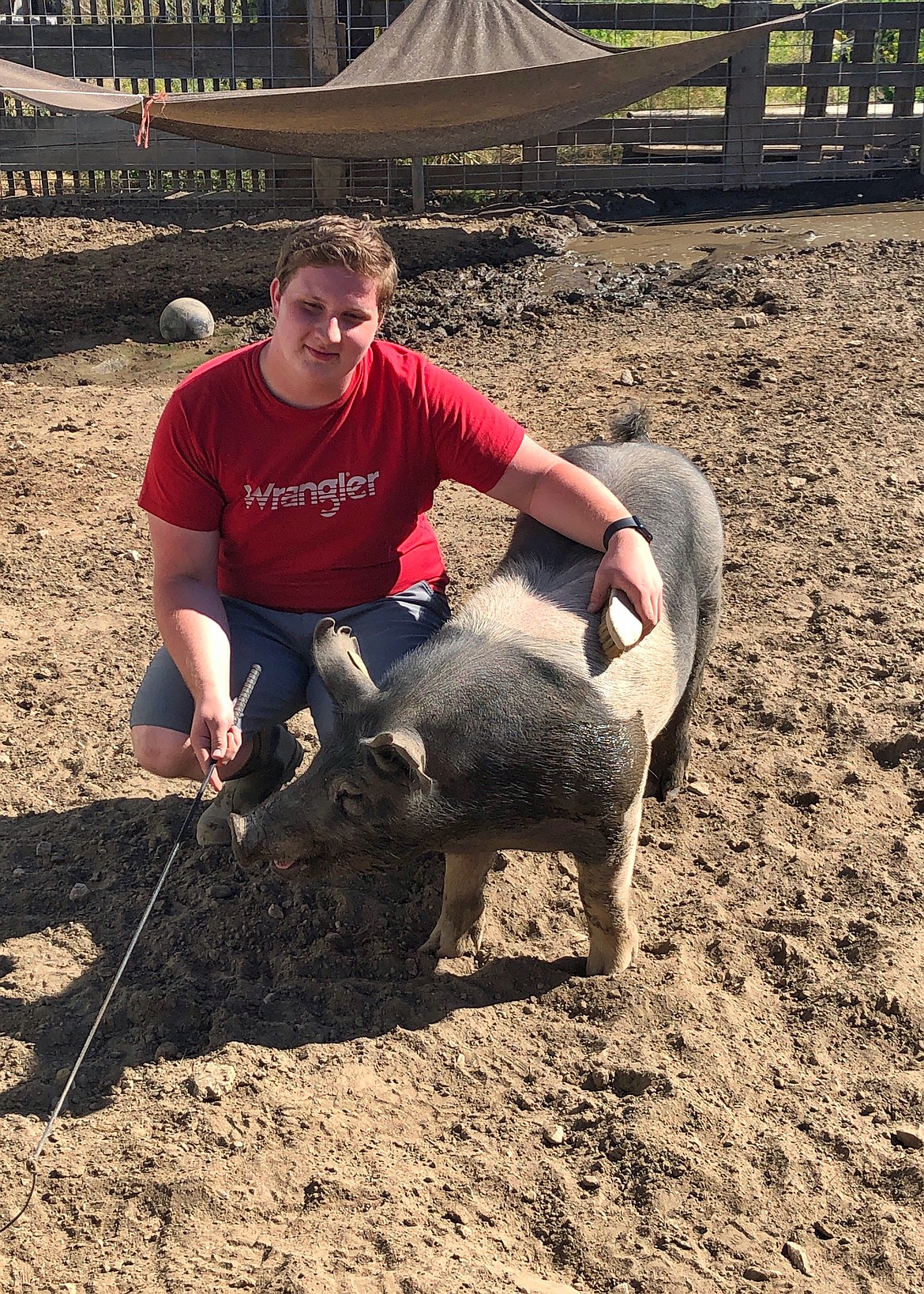 Courtesy photo 
 Samuel Otey said he knew raising pigs for the Grant County Fair would be a bigger gamble than usual, but he decided to go ahead.