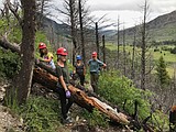Bob Marshall Wilderness Foundation looks to future