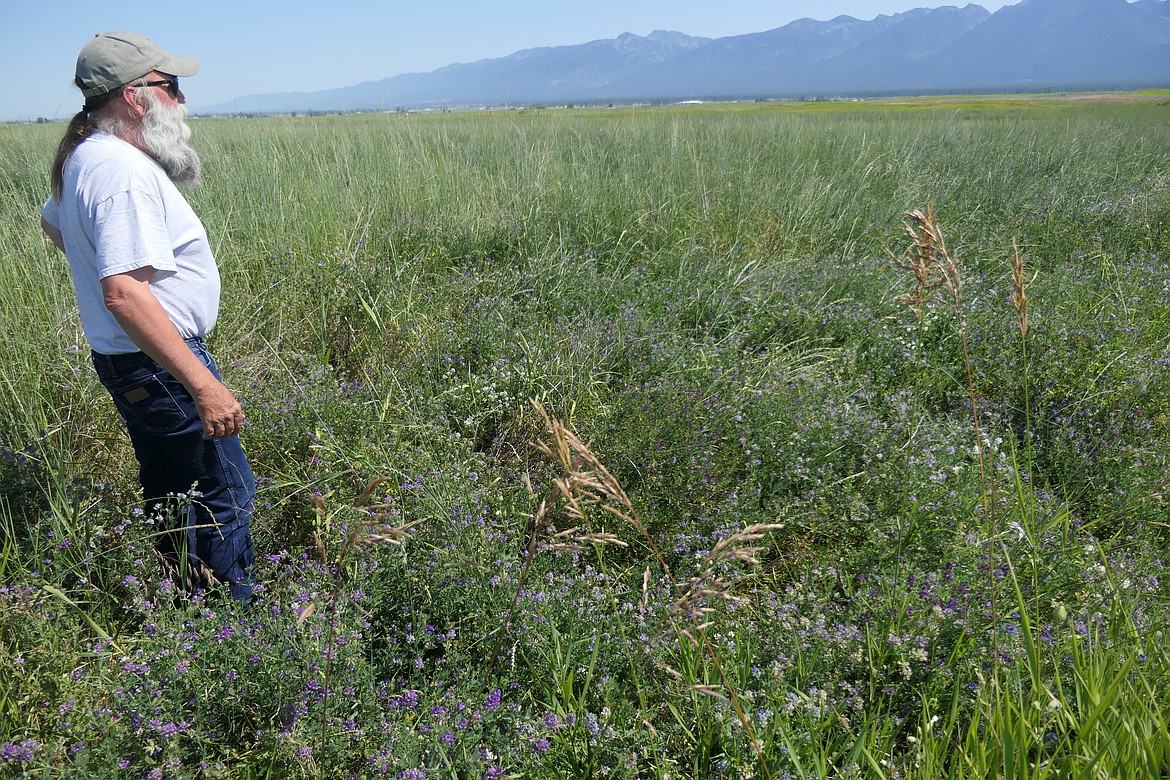 Montana Fish, Wildlife & Parks Manager John Grant surveys the land at Ninepipes Wildlife Management Area he has spent his 30-year career working on. (Carolyn Hidy/Lake County Leader)