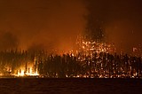 Howe Ridge fire creates forest transformation