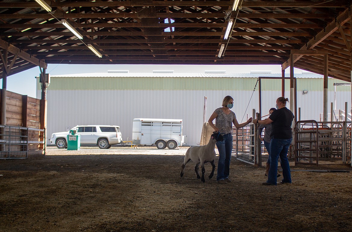 Samantha Rodeback, center, brings in livestock for her daughter, Brydon Stacy, on Wednesday afternoon at the Grant County Fairgrounds.