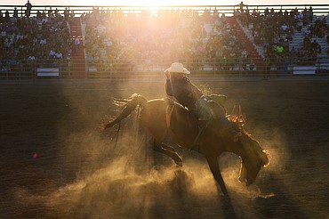 Blade Elliott, from Saint Ignatius, rides Backlash during bareback riding at the Northwest Montana Fair & Rodeo on Saturday, Aug. 22. (Casey Kreider/Daily Inter Lake)