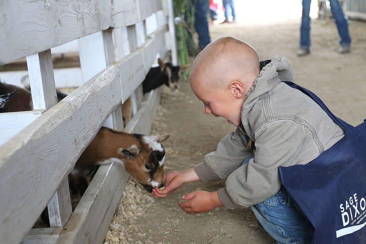 Bonner County Fair remains on | Bonner County Daily Bee