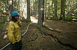 Forest Service hiring firefighters