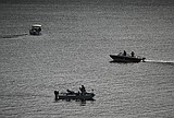 H&W issues fish advisory for anglers in Lake CDA